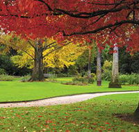 Albury Botanic Gardens - Accommodation NT