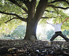 Albury Botanic Gardens - Accommodation NT 1