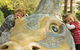 Albury Botanic Gardens - thumb 3