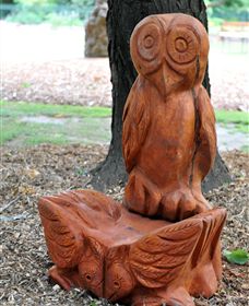 Albury Botanic Gardens - Accommodation NT 7