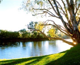 Albury - Murray River Precinct - Accommodation NT 0