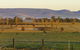 Holbrook Landcare Self-Drive Eco Tour - thumb 0