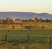 Holbrook Landcare Self-Drive Eco Tour - NT Tourism