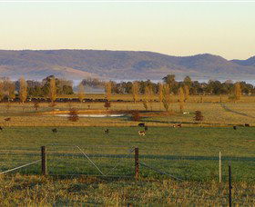 Holbrook Landcare Self-Drive Eco Tour - NT Tourism 0