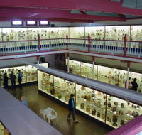 National Museum of Australian Pottery - NT Tourism