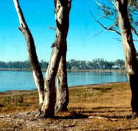 Lake Broadwater Conservation Park - Accommodation NT
