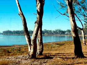 Lake Broadwater Conservation Park - Accommodation NT 0