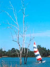 Lake Broadwater Conservation Park - Accommodation NT 2