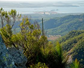 Mount Larcom Climb - Accommodation NT 1