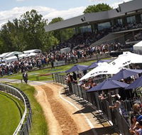 Thoroughbred Park Canberra Racing Club - Horse Racing in the Nations Capital - Accommodation NT