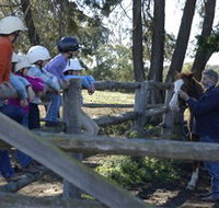 Harlow Park Horse Riding - Accommodation NT