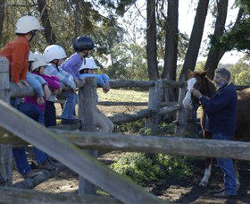 Harlow Park Horse Riding - Accommodation NT 0