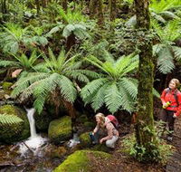 Baw Baw National Park - Accommodation NT