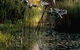 Commonwealth Park - thumb 3