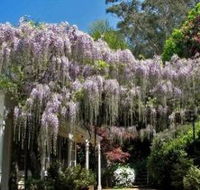 Nooroo Gardens - Accommodation NT