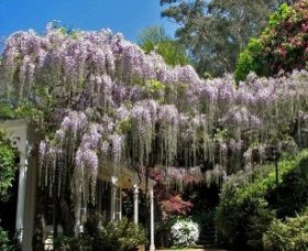 Nooroo Gardens - Accommodation NT 0