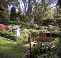 Windyridge Garden Mount Wilson - Accommodation NT