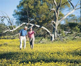 Coalseam Conservation Park - Accommodation NT 3