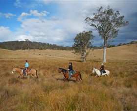 Chapman Valley Horse Riding - Accommodation NT 0