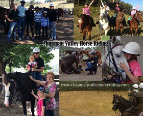 Chapman Valley Horse Riding - Accommodation NT 5