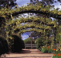 Blue Mountains Botanic Garden - Accommodation NT