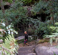 Leura Cascades Fern Bower - Accommodation NT