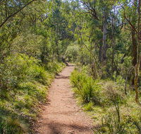 Mares Forest Creek walking track - NT Tourism