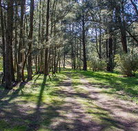 Wombeyan Waterfall walking track - NT Tourism