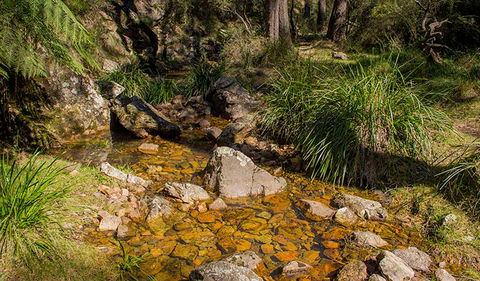 Wombeyan Waterfall Walking Track - Accommodation NT 1
