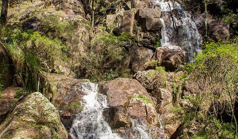 Wombeyan Waterfall Walking Track - Accommodation NT 3