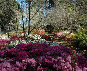 Wildwood Garden - Accommodation NT 2