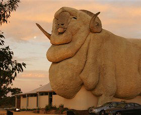 Big Merino - Accommodation NT 3