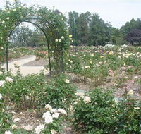 Victoria Park Rose Garden - NT Tourism