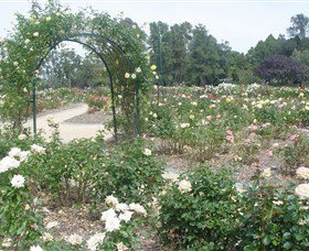 Victoria Park Rose Garden - Accommodation NT 0