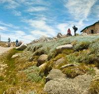 Mount Kosciuszko Summit walk - Accommodation NT