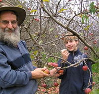 Pine Crest Orchard - Accommodation NT