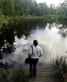 Boonoo Boonoo Falls National Park - Accommodation NT 1