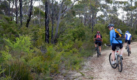 McMahon's Point Ride - Wentworth Falls - Accommodation NT 0