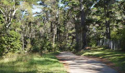 McMahon's Point Ride - Wentworth Falls - Accommodation NT 2