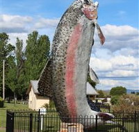 Big Trout - Accommodation NT