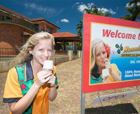 Mammino Gourmet Ice Cream - Accommodation NT 3