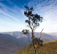 Salisbury Waters walking track - Accommodation NT