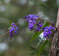 Mann River Nature Reserve - Accommodation NT