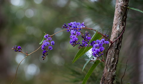 Mann River Nature Reserve - Accommodation NT 0