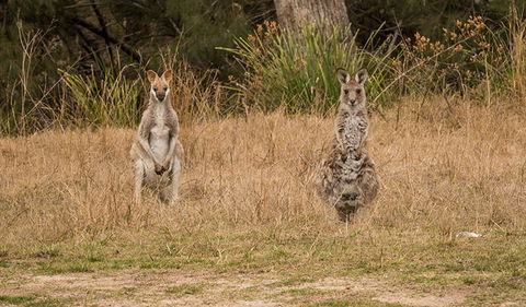 Mann River Nature Reserve - Accommodation NT 1