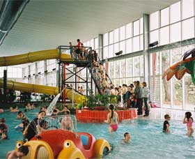 Springwood Aquatic And Fitness Centre - Accommodation NT 0