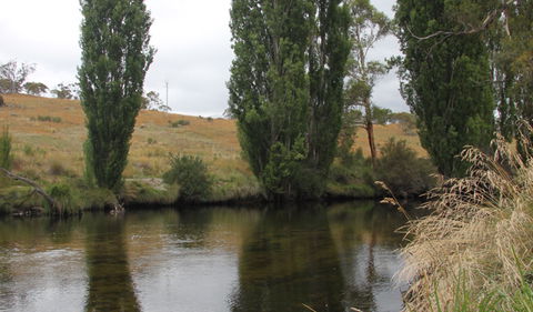 Thredbo River Picnic Area - Accommodation NT 3