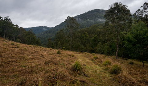 Nowendoc National Park - Accommodation NT 1