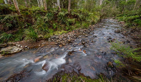 Nowendoc National Park - Accommodation NT 3