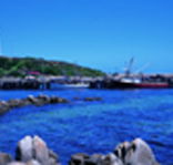 King Island Dairies - Accommodation NT